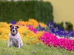 Modern Apartment With Balcony