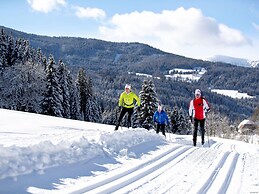 Lovely Chalet in Turracherhohe With Sauna