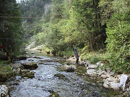 Spacious Apartment in Styria With Garden View