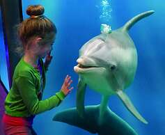 Bungalow in Breskens With Waterfront Jetty