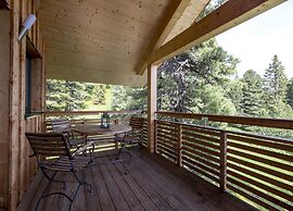 Amazing Chalet With Sauna