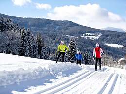 Cosy Chalet With Infrared Sauna
