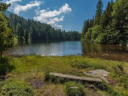 Charming Chalet With Indoor hot tub