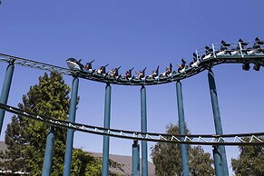 Lovely Bungalow With Garden