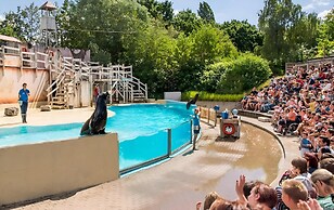 Majestic Holiday Home Near Beach