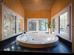 Lively Chalet With Infrared Sauna