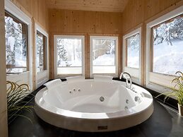 Appealing Chalet With Infrared Sauna