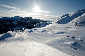 Cozy Chalet With Sauna