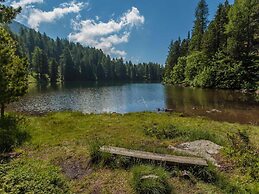Lovely Chalet in Turracherhohe With Sauna