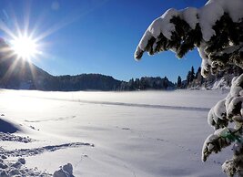 Apartment Only 200 m From ski Station