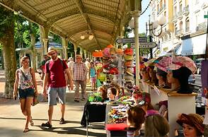 Les Sources Vichy