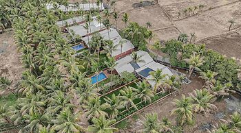 Coco Bliss By Mauli Stays