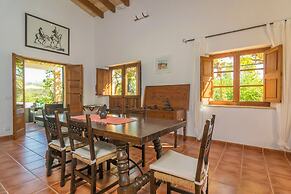 Mercader in Mallorca