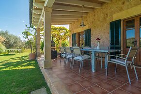 Mercader in Mallorca