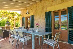 Mercader in Mallorca