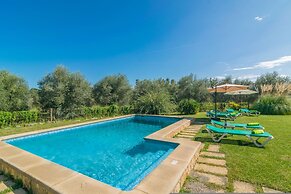 Mercader in Mallorca