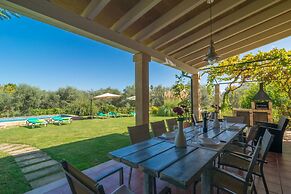 Mercader in Mallorca