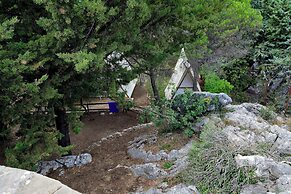 Camping Tajo Rodillo