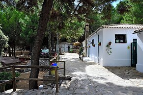Camping Tajo Rodillo