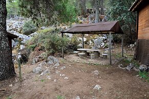 Camping Tajo Rodillo