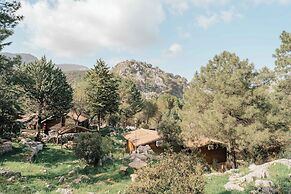 Camping Tajo Rodillo