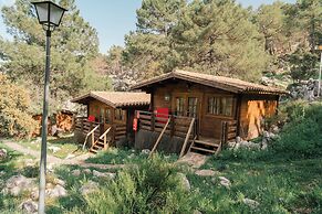 Camping Tajo Rodillo