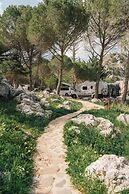 Camping Tajo Rodillo