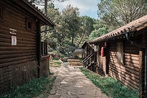 Camping Tajo Rodillo