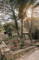 Camping Tajo Rodillo