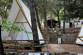 Camping Tajo Rodillo