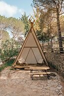 Camping Tajo Rodillo