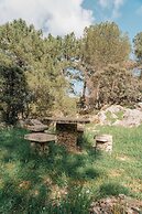 Camping Tajo Rodillo