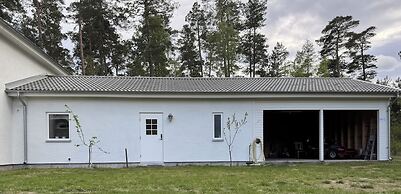 In the Middle of the Forest Nearby Ahus