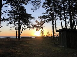 In the Middle of the Forest Nearby Ahus