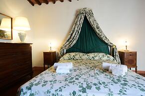 Apt Glicine Della Vivaldina