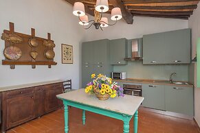 Apt Glicine Della Vivaldina