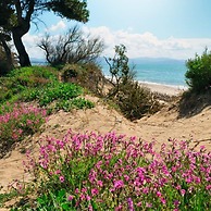 Apt Glicine Della Vivaldina