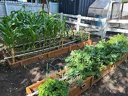 FR - Heber Historic Colonial