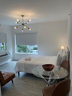 Agave on the Beach by Renzzi