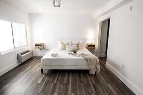 Agave on the Beach by Renzzi