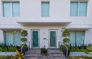 Agave on the Beach by Renzzi