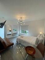 Agave on the Beach by Renzzi