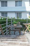 Agave on the Beach by Renzzi