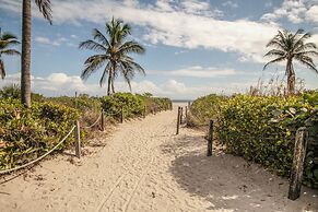 Agave on the Beach by Renzzi