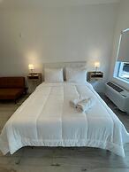 Agave on the Beach by Renzzi