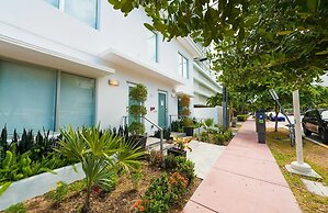 Agave on the Beach by Renzzi