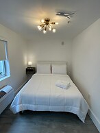 Agave on the Beach by Renzzi