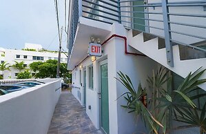 Agave on the Beach by Renzzi