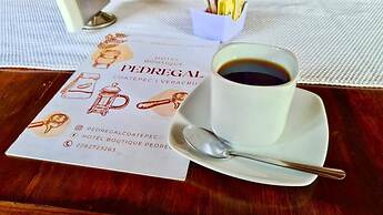 Hotel Boutique Pedregal