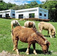 EcoHotel Montenegro